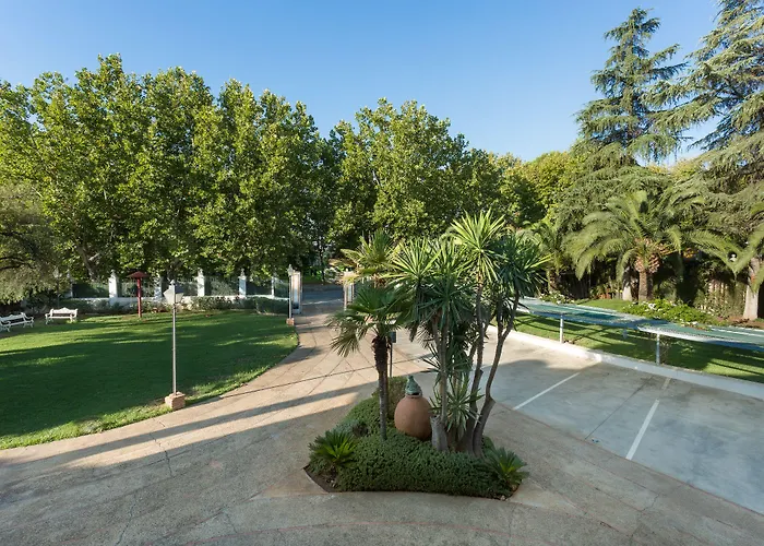 リヤド アルサファ コルドバ